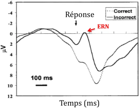 Figure 3 – Adaptée de Holroyd et Coles (2002). L’ERN est maximale environ 80 ms après  la réponse incorrect  au niveau médiofrontal 