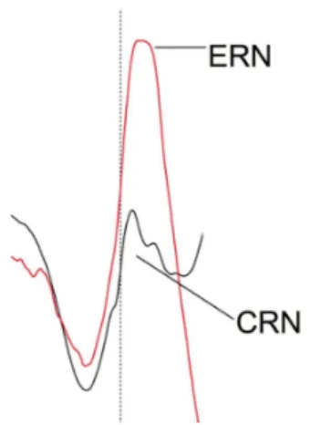 Figure  8  –  la  Correct Related Negativity  (CRN)  est  de  temporalité  comparable  à  l’ERN  mais d’amplitude plus faible  