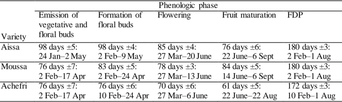 Table  3:  Duration  of  the  phenologic  phases  of  flowering  and  fruiting  of  'Achefri',  'Aissa'  and 'Moussa'  during  the  second year  of observations  (2012) in  the  Agadir  area
