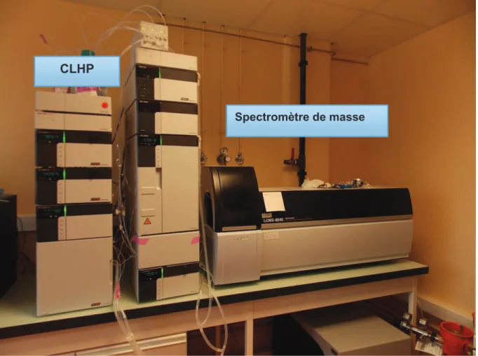 Figure 1 : Chromatographie liquide haute performance couplée à la détection par un spectromètre de masse en tandem 
