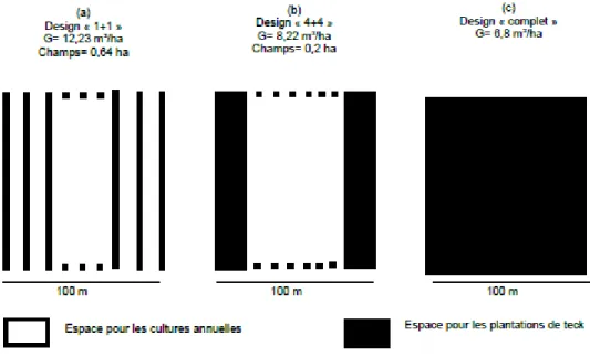 Figure 4: Proposition schématique  de plans de systèmes  agroforestiers  appliqués  aux plantations privées  de teck  du  Bénin