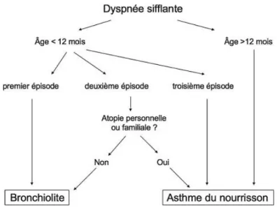 Figure 2 : Physiopathologie de l’asthme. (7) 