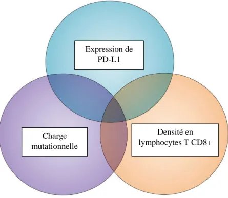 Figure 47 : Les différents biomarqueurs prédictifs de la réponse à l’immunothérapie anti-PD1