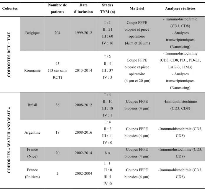 Tableau 4 : Descriptif des cohortes analysées 