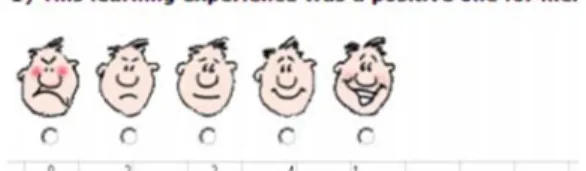 Figure 1. One pupil claims to be very satisfied with the  PLEM-based lesson, 4 satisfied, 2 indifferent, 2 not satisfied