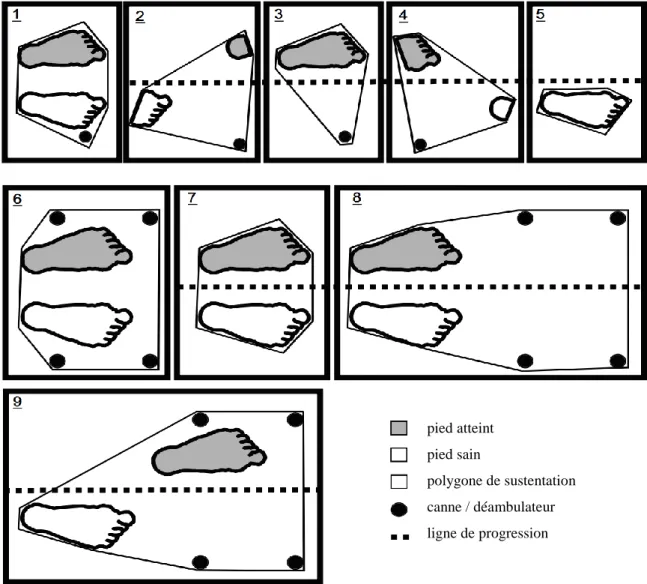 Figure 2 :  Schéma illustrant l’augmentation du polygone de sustentation au cours de la marche avec  une canne  (1 à 5) ou un déambulateur (6 à 9) d’après Bateni et al