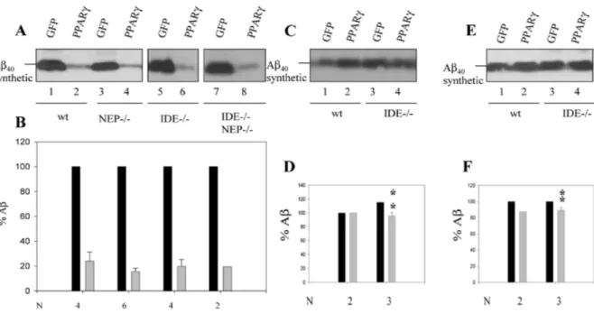 Fig. 5. Phenanthroline and glucagon treatment rescue Aβ stability in wild type and in IDE—