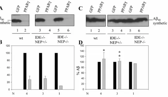 Fig. 6. Glucagon treatment  rescues Aβ stability in wild type,IDE—/—NEP+/— and IDE—/—