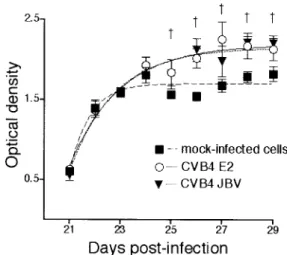 TABLE 1. Levels of IL-6 and LIF in TEC cultures infected with CVB4 E2 and JBV 168 h p.i.