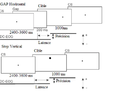 Figure 7. Paradigmes gap horizontal et step vertical, adaptés de Mosimann et al. 2005 [46].
