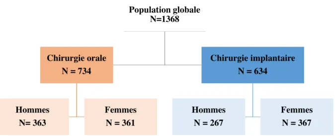 Figure 1 : Schéma descriptif de la population analysée 