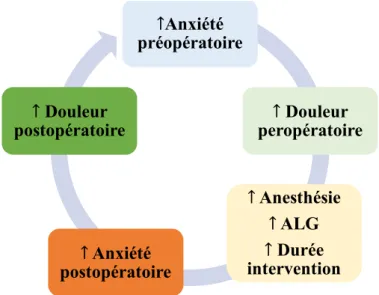 Figure 9 : Schéma représentatif de l’interrelation entre l’anxiété préopératoire, les  paramètres peropératoires et les troubles postopératoires 