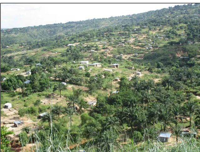 Figure 4 :  Habitat étalé dans les zones agricoles et de fortes pentes  en périphérie de Kinshasa 