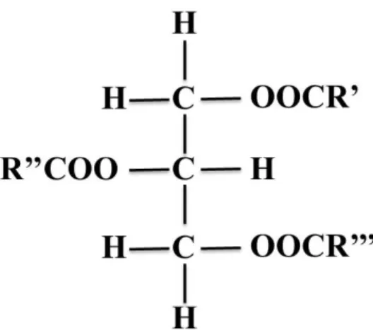 Figure  1.3-  Triacylglycérols  où R’, R’’ et R’’’ représentent les résidus d’acides gras  estérifiés au glycérol  