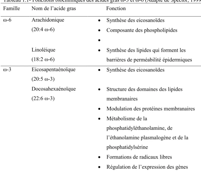 Tableau 1.1- Fonctions biochimiques des acides gras ω-3 et ω-6 (Adapté de Spector, 1999)  Famille  Nom de l’acide gras  Fonction 