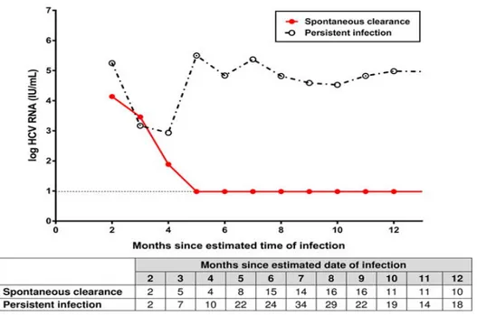 Figure 2. Description des taux médians mensuels de l’ARN VHC des patients présentant une hépatite C aiguë au cours  du temps
