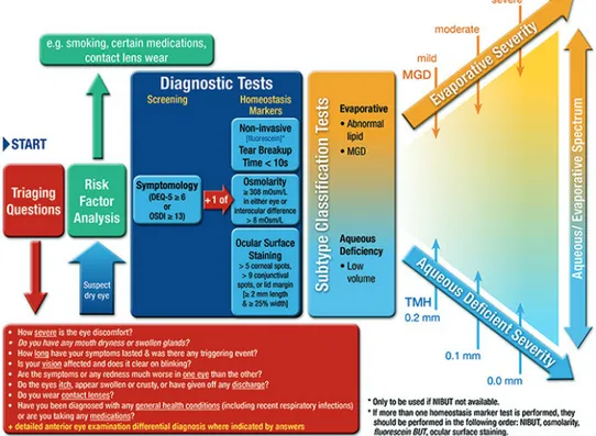 FIGURE 3. Diagnostic et classification du SSO – DEWS II  15