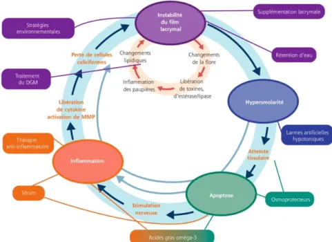 FIGURE 10. Arsenal thérapeutique dans le SSO tiré du Rapport SFO Surface oculaire 2015  38