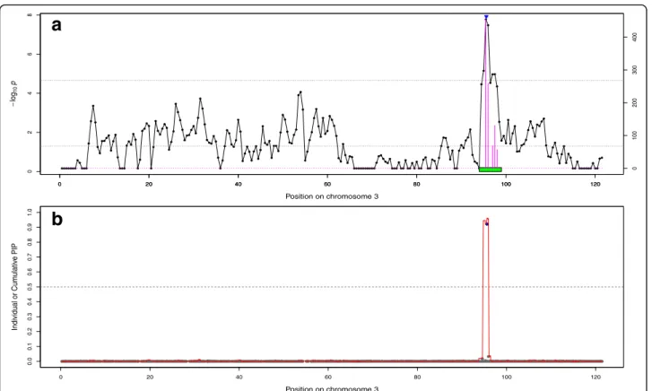 Fig. 3 Association curves for top muscling on chromosome 3. a) Association with the Adaptive MultiBLUP approach