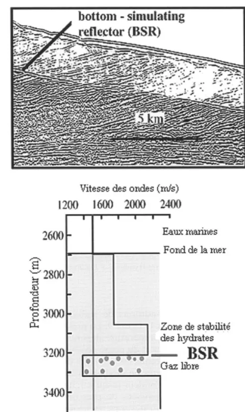 Fig.  10. - Le réflecteur séismique BSR indique la présence d'hydrates de gaz dans  les fonds marins comme le montre l'enregistrement des «Black Ridges » présenté 