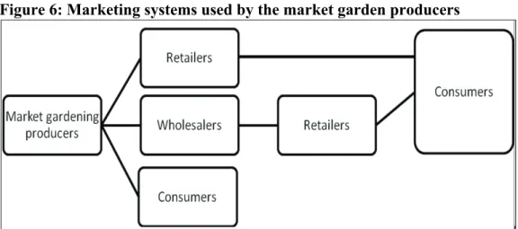 Figure 6: Marketing systems used by the market garden producers 