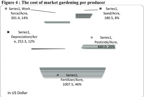 Figure 4 : The cost of market gardening per producer 