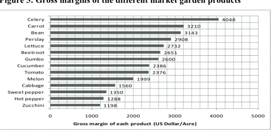 Figure 5: Gross margins of the different market garden products 