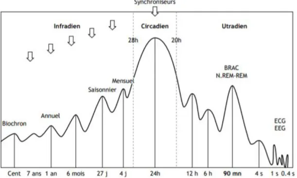 Figure 5 : représentation du spectre biopériodique (253) 