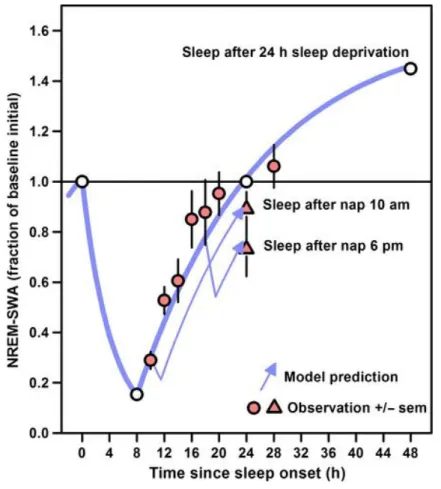 Figure 8 : influence de la sieste sur la pression de sommeil(288) 