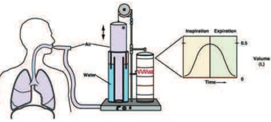 Figure 1. Spiromètre à cloche, schéma simplifié.  