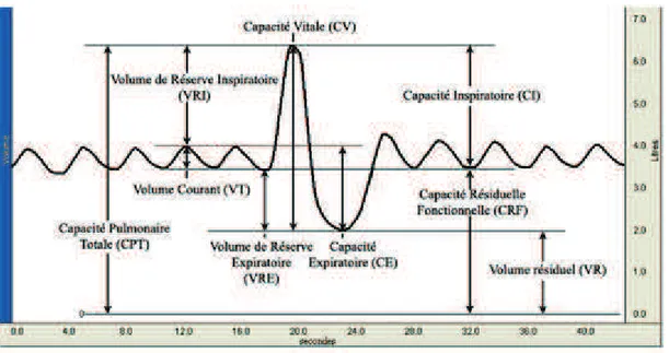 Figure 3. Différents volumes respiratoires mesurées lors d’une EFR (10).  