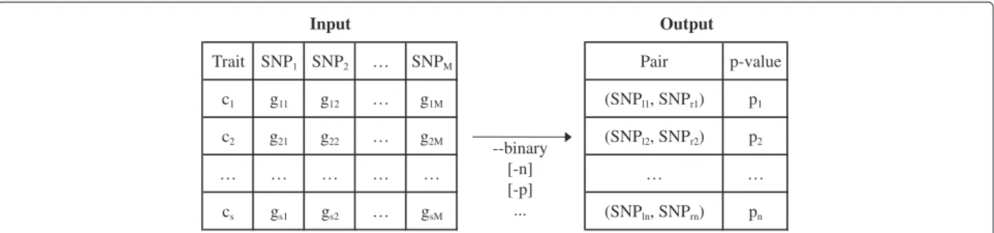 Figure 1 Input/output formats of MBMDR-3.0.3. MBMDR-3.0.3 takes as argument a text ﬁle (possibly converted by our software from PLINK format) containing the trait and SNP values of the subjects under study and a set of command line parameters