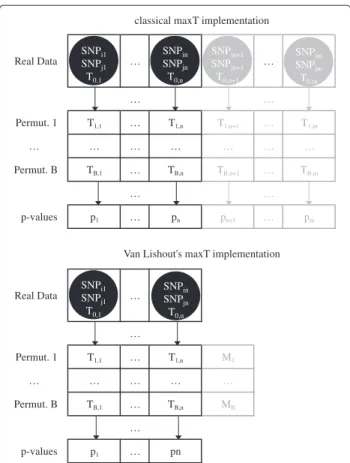 Figure 2 Classical versus Van Lishout’s implementation of maxT.