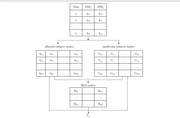 Figure 4 Decomposition of the diﬀerent steps of the computation of T i,j . c a is 1 (0) if the a th subject is a case (control) for the i th permutation of the trait