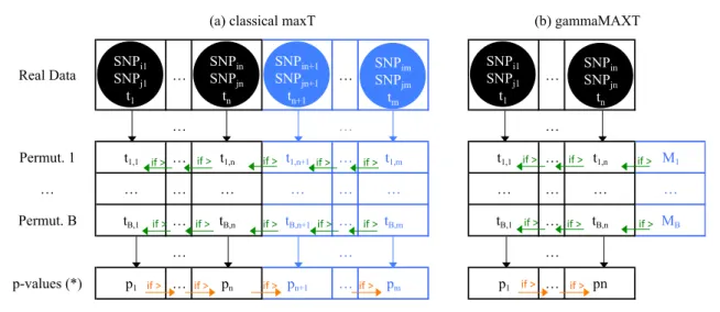 Figure 3.8: Classical implementation of maxT versus gammaMAXT. In the classical implementation, test-statistics are computed for all pairs of SNPs and stored with the corresponding SNP names in the sorted Real data vector