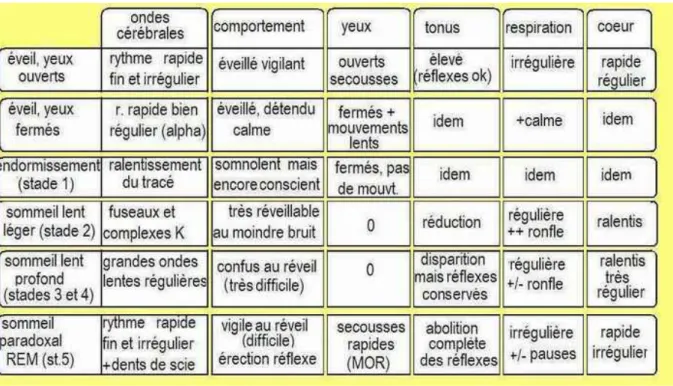 Figure 8:  Tableau récapitulatif des caractéristiques des stades du sommeil(24) 