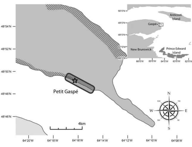 Figure 2: Map of the Petit-Gaspé study site, located along the Gaspesian peninsula, Québec, Canada