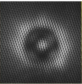 Fig. 1. Example of IFS coronagraphic raw data. The displayed image covers a square 1.77 × 1.77 arcsec FOV