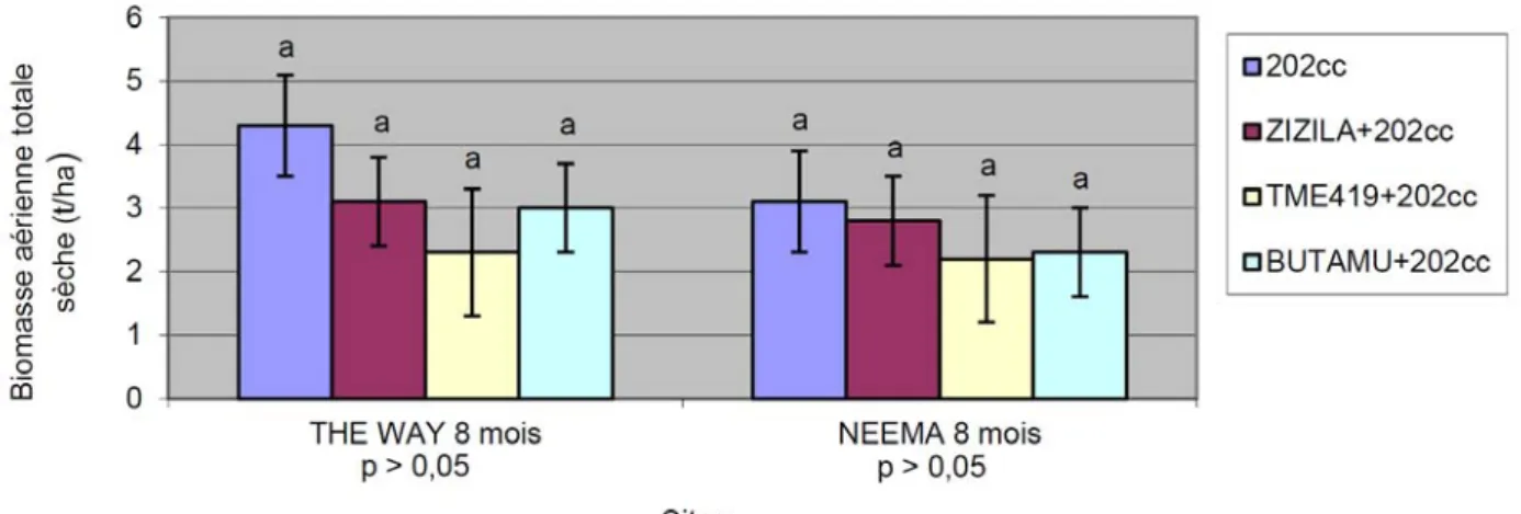 Figure 2: Rendement de la biomasse aérienne totale sèche (t/ha) de la variété de stylo 202cc après 8 mois en culture pure et en   association avec trois clones de manioc comparés.