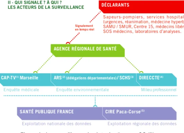 Figure 1 : La surveillance des intoxications au CO (9) 