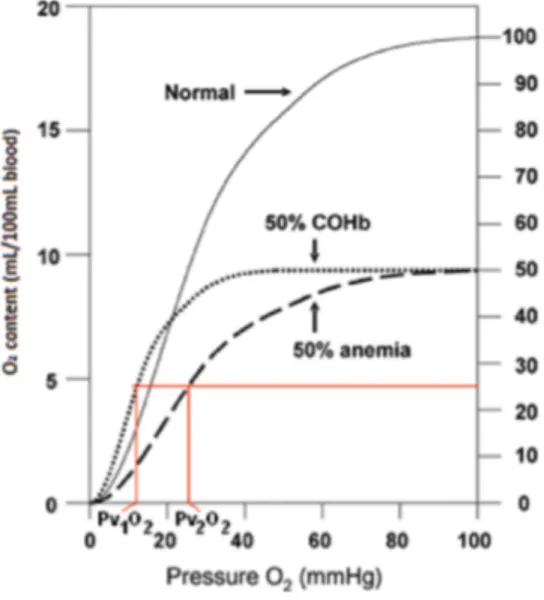 Figure  3 :  Le  décalage  gauche  associé  au  CO  démontre  l’effet  indésirable  supplémentaire  du  CO  par  rapport  à  la  simple  perte  de  capacité  de  charge  de  l’hémoglobine en oxygène (23) 