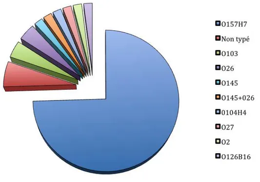 Figure 6. Répartitions des différents sérotypes retrouvés chez les 51 patients STEC  positifs 