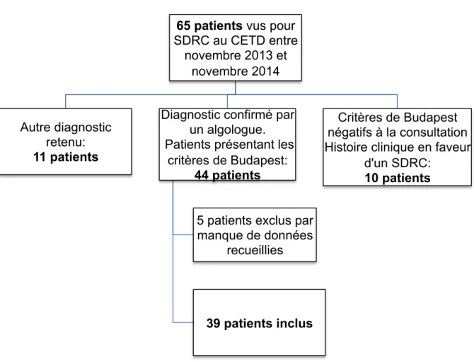 Figure 5: Répartition des patients vus pour SDRC au CETD du CHU de ROUEN entre le 1er  novembre 2013 et le 1er novembre 2014 