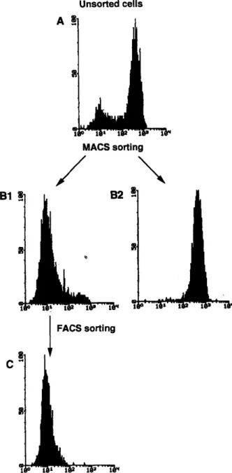 Fig. 2: FACS analysis of CD3 expression before and after MACS purification of CD3 +  and CD3 -  fractions