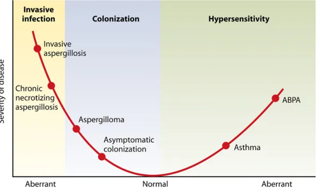 Figure 2 : Représentation sous forme de diagramme des pathologies induites par Aspergillus spp