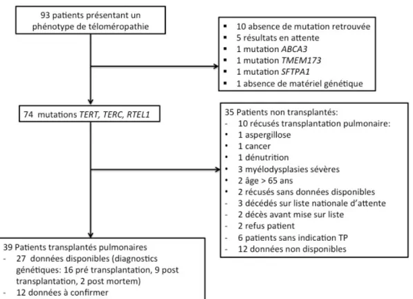 Figure 2 : Organigramme des patients adressés pour transplantation pulmonaire et suspicion  de mutation de TRG