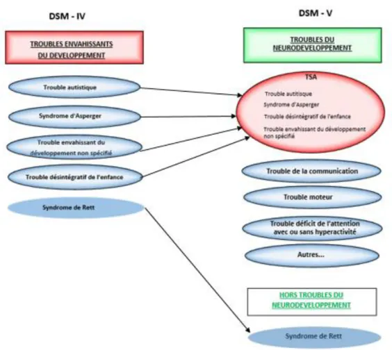 Figure 1. Evolution des classifications du DSM (DSM-IV vers DSM-V). 