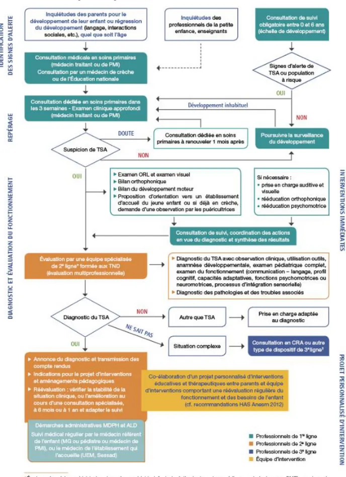 Figure  2. Parcours de l’enfant  et  de sa famille, de l’identification des premiers signes d’alerte  d’autisme à la mise en place des premières interventions (HAS 2018)