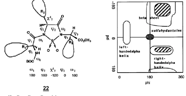 Figure  17.  Tripeptide  contraint  sulfonyle  N-Boc-L-Val-L-Phe-[SO 2 ]-D-Ala-OMe  et  son diagramme de Ramachandran correspondant 47 