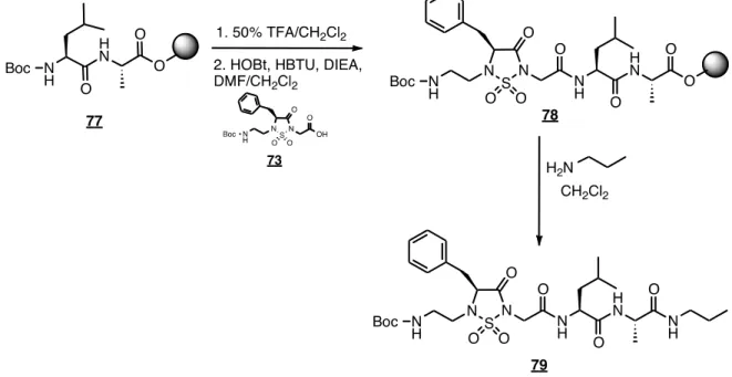 Figure 39. Synthèse d’un pentapeptide contraint 79.  